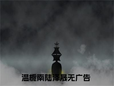 温栀南陆泽晟（温栀南陆泽晟）全文免费阅读无弹窗大结局_温栀南陆泽晟最新章节列表_笔趣阁（温栀南陆泽晟）