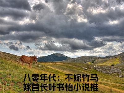 （八零年代：不嫁竹马嫁首长叶书怡）全文无弹窗阅读-小说主角叫什么八零年代：不嫁竹马嫁首长叶书怡