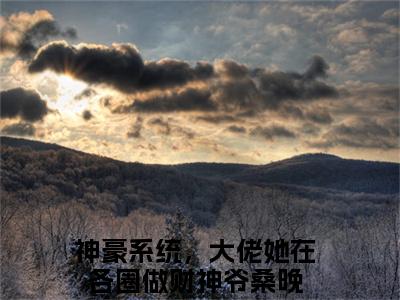 神豪系统，大佬她在各圈做财神爷桑晚全本小说（神豪系统，大佬她在各圈做财神爷桑晚）全文免费阅读无弹窗大结局_神豪系统，大佬她在各圈做财神爷桑晚全本小说最新章节列表_笔趣阁（神豪系统，大佬她在各圈做财神爷桑晚）