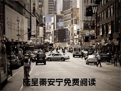 陆呈秦安宁（七零：疯痞夫妻赢麻了）全文小说免费阅读_（七零：疯痞夫妻赢麻了）陆呈秦安宁最新章节列表