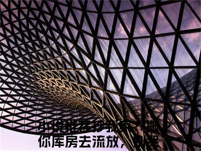叶芷汐赵钰（抄我家？搬你库房去流放，别哭哦）小说多人阅读-小说抄我家？搬你库房去流放，别哭哦在哪里看免费