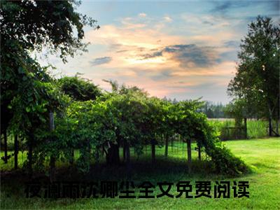 夜澜雨沈卿尘（与卿相两安）全文免费阅读无弹窗大结局_（夜澜雨沈卿尘）最新章节列表_笔趣阁（与卿相两安）