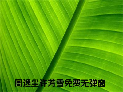 主角为周逸尘许芳雪的言情小说讲的是什么-正版小说全文阅读