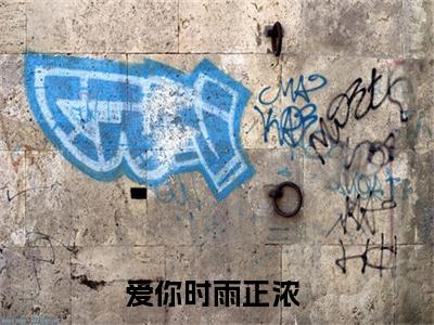 爱你时雨正浓最新章节（江雨浓沈淮川）全文免费阅读无弹窗大结局_江雨浓沈淮川免费阅读