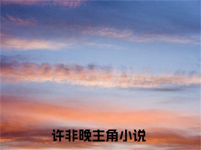 （全文）+（后续）（许非晚）他的一味甜老书虫推荐小说热文-他的一味甜最新更新免费阅读