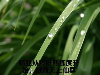 从爆肝熟练度开始，成就无上仙尊全文小说（林业）-完结版热文林业（从爆肝熟练度开始，成就无上仙尊）小说免费阅读