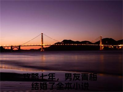 沈薇薇陆远方全文免费阅读大结局_沈薇薇陆远方最新章节列表_笔趣阁（攻略七年，男友青梅结婚了）