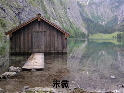 宋微（八零：病弱知青在乡下养崽开摆）完整版小说阅读-宋微小说（八零：病弱知青在乡下养崽开摆）精彩免费试读