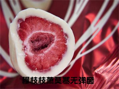 穆枝枝萧莫寒小说（穆枝枝萧莫寒）全文免费阅读无弹窗大结局_穆枝枝萧莫寒最新章节列表_笔趣阁（穆枝枝萧莫寒）