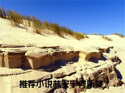 有情必不终老（林安宁何薄宴）全文免费阅读无弹窗_林安宁何薄宴最新小说_笔趣阁