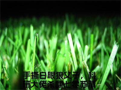 手撕白眼狼父子，科研大佬杀翻七零苏清禾txt（手撕白眼狼父子，科研大佬杀翻七零苏清禾）全文免费阅读无弹窗大结局_手撕白眼狼父子，科研大佬杀翻七零苏清禾最新章节列表_笔趣阁（手撕白眼狼父子，科研大佬杀翻七零苏清禾）