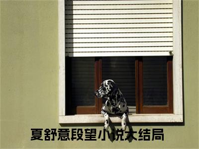 一晴方觉夏深（夏舒意段望小说）全文免费阅读无弹窗大结局_一晴方觉夏深最新章节列表_笔趣阁（夏舒意段望小说）