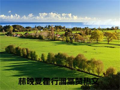 林晚夏霍行渊：结局+番外(林晚夏霍行渊：结局+番外小说)全文免费阅读无弹窗大结局_ 林晚夏霍行渊：结局+番外全文免费阅读小说林晚夏霍行渊：结局+番外全文免费阅读最新章节列表_笔趣阁（林晚夏霍行渊：结局+番外小说）