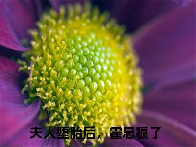 夫人堕胎后，霍总疯了（明徽霍砚深：结局+番外）全文免费阅读无弹窗大结局_(夫人堕胎后，霍总疯了)最新章节列表_笔趣阁（明徽霍砚深：结局+番外）