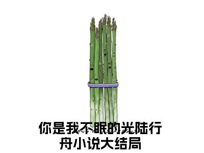 你是我不眠的光陆行舟小说（你是我不眠的光陆行舟）全文免费阅读无弹窗大结局_（你是我不眠的光陆行舟免费阅读）你是我不眠的光陆行舟最新章节列表_笔趣阁（你是我不眠的光陆行舟）