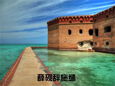 薛砚辞施缱（薛砚辞施缱)全文免费阅读无弹窗大结局_薛砚辞施缱全文免费阅读_笔趣阁（薛砚辞施缱）
