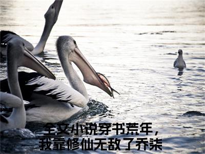 穿书荒年，我靠修仙无敌了乔柒：结局+番外穿书荒年，我靠修仙无敌了乔柒（穿书荒年，我靠修仙无敌了乔柒）全文免费阅读无弹窗大结局_穿书荒年，我靠修仙无敌了乔柒：结局+番外穿书荒年，我靠修仙无敌了乔柒最新章节列表_笔趣阁（穿书荒年，我靠修仙无敌了乔柒）