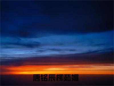 （唐铭辰柳茹媚）穿书当太子小妾？她偏要选反派！小说最终篇章章节在线无广告高口碑小说
