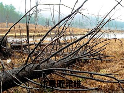 沈景曜梁唯番外（沈景曜梁唯）TXT+后续+结局在线阅读