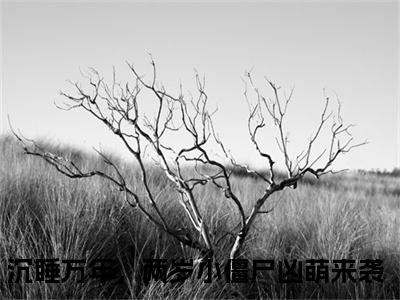 （书荒必看）跳跳小说TXT无套路阅读
