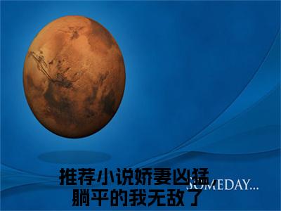 凌辰小说完本章节前文+全篇阅读（娇妻凶猛，躺平的我无敌了）连载中