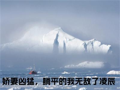 凌辰小说(娇妻凶猛，躺平的我无敌了)小说全集阅读连载中（凌辰）_笔趣阁