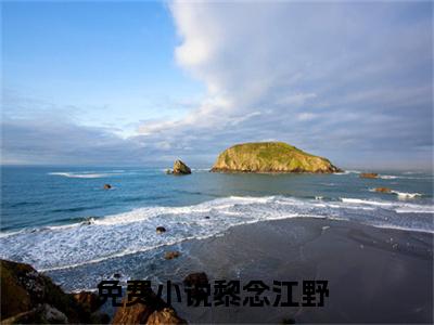 独家黎念江野小说(网恋失败后我成为国民女神)（黎念江野）电子书畅享阅读