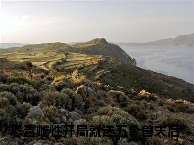 热更章节_笔趣阁（萧锦笙）恶毒雌性开局就送五个兽夫后萧锦笙后续全本浏览阅读