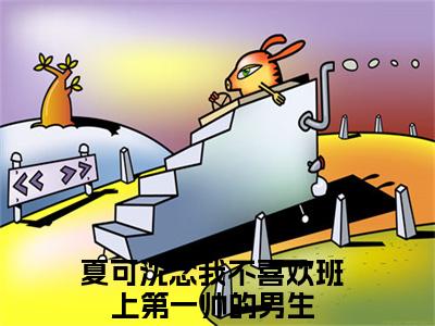 全网首发夏可沈念小说叫什么(我不喜欢班上第一帅的男生)（夏可沈念）全书阅读纯净阅读