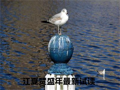 （江夏贺盛年）缠夏吻江夏贺盛年后续一口气无广告全书章节表
