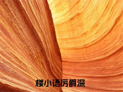 楼小语厉爵深全文免费阅读_（楼小语厉爵深免费阅读无弹窗）楼小语厉爵深最新章节在线阅读笔趣阁