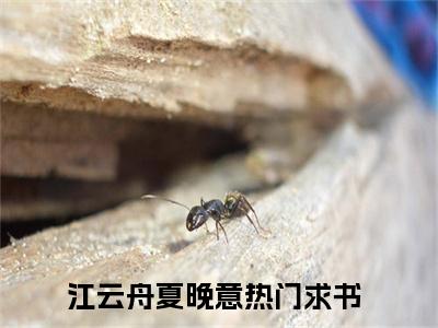 江云舟夏晚意（江云舟夏晚意：结局+番外）完结阅读无弹窗大结局_(江云舟夏晚意)最新章节列表_笔趣阁（江云舟夏晚意：结局+番外）