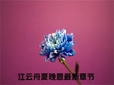 江云舟夏晚意（江云舟夏晚意）全文免费阅读无弹窗大结局_江云舟夏晚意最新章节列表_笔趣阁（江云舟夏晚意）