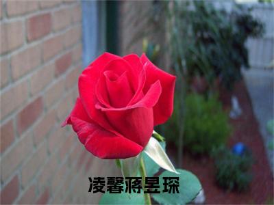 凌馨蒋昱琛（凌馨蒋昱琛/凌馨蒋昱琛：结局+番外）全文免费阅读无弹窗大结局_(凌馨蒋昱琛)最新章节列表_笔趣阁（凌馨蒋昱琛/凌馨蒋昱琛：结局+番外）