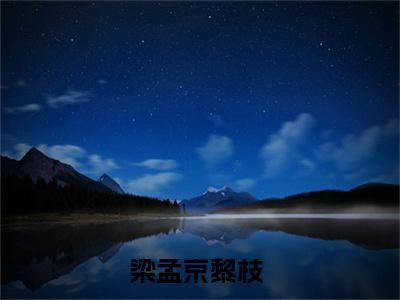 梁孟京黎枝（梁孟京黎枝）全文免费阅读无弹窗大结局_(梁孟京黎枝)免费阅读无弹窗最新章节列表