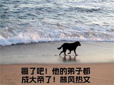 疯了吧！他的弟子都成大帝了！林风小说（疯了吧！他的弟子都成大帝了！林风）最新章节阅读-最新热点小说疯了吧！他的弟子都成大帝了！林风