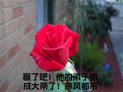 小说疯了吧！他的弟子都成大帝了！林风全文阅读-（疯了吧！他的弟子都成大帝了！林风）小说疯了吧！他的弟子都成大帝了！林风大结局