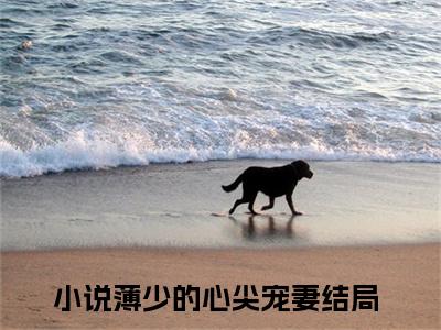 苏妍心薄靳言全文最新章节（薄少的心尖宠妻）全文免费阅读无弹窗大结局_薄少的心尖宠妻免费阅读