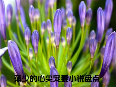 今日热读苏妍心薄靳言：结局+番外（薄少的心尖宠妻）全文免费阅读无弹窗大结局_(薄少的心尖宠妻：结局+番外)最新章节列表_笔趣阁（薄少的心尖宠妻）