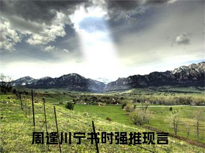 (周逢川宁书时：结局+番外)书荒宝藏热文必读推荐（周逢川宁书时）全文免费阅读无弹窗大结局_(周逢川宁书时：结局+番外)最新章节列表_笔趣阁（周逢川宁书时）