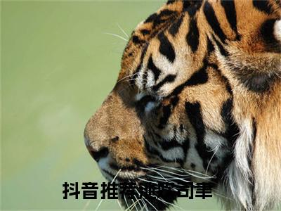 （久别重逢后，疯批大佬强制爱：池欢司聿）池欢司聿久别重逢后，疯批大佬强制爱：全文+结局+番外免费阅读完结版全文_久别重逢后，疯批大佬强制爱：池欢司聿最新章节无弹窗_笔趣阁（池欢司聿久别重逢后，疯批大佬强制爱：全文+结局+番外）