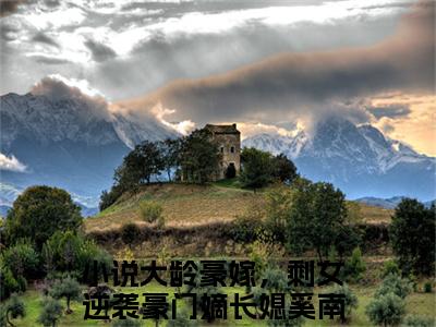 (番外)+(全文)大龄豪嫁，剩女逆袭豪门嫡长媳奚南嫣全文小说免费下载阅读大龄豪嫁，剩女逆袭豪门嫡长媳奚南嫣全文小说最新章节列表_笔趣阁（大龄豪嫁，剩女逆袭豪门嫡长媳奚南嫣全文）