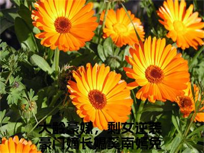 大龄豪嫁，剩女逆袭豪门嫡长媳奚南嫣后续+全集（大龄豪嫁，剩女逆袭豪门嫡长媳奚南嫣）全文免费阅读无弹窗大结局_（大龄豪嫁，剩女逆袭豪门嫡长媳奚南嫣后续+全集免费阅读无弹窗）大龄豪嫁，剩女逆袭豪门嫡长媳奚南嫣后续+全集最新章节列表_笔趣阁（大龄豪嫁，剩女逆袭豪门嫡长媳奚南嫣）