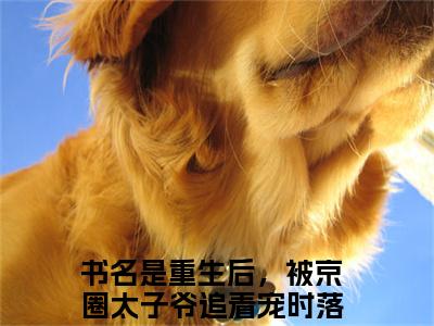 重生后，被京圈太子爷追着宠时落葵（重生后，被京圈太子爷追着宠时落葵）全文免费阅读无弹窗大结局_重生后，被京圈太子爷追着宠时落葵全文免费阅读（重生后，被京圈太子爷追着宠时落葵）最新章节列表_笔趣阁