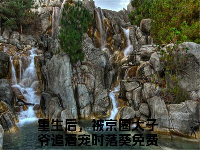 重生后，被京圈太子爷追着宠时落葵小说(重生后，被京圈太子爷追着宠时落葵)全文+后续（重生后，被京圈太子爷追着宠时落葵）畅享阅读
