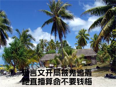 开局被鬼追着跑直播算命不要钱梅灵儿（开局被鬼追着跑直播算命不要钱梅灵儿）小说全文免费阅读无弹窗大结局_（开局被鬼追着跑直播算命不要钱梅灵儿）开局被鬼追着跑直播算命不要钱梅灵儿最新章节列表笔趣阁（开局被鬼追着跑直播算命不要钱梅灵儿）