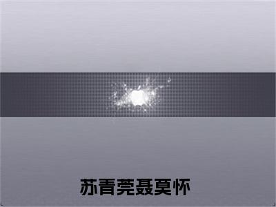 (番外)+(结局)苏青莞聂莫怀(再无岁月可回首：结局+番外)全文免费阅读无弹窗大结局_(苏青莞聂莫怀)最新章节列表_笔趣阁(苏青莞聂莫怀再无岁月可回首：结局+番外)