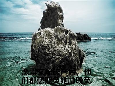 恶毒女配破产后，他们都想欺负她林晚芙：结局+番外（恶毒女配破产后，他们都想欺负她林晚芙）全文免费阅读无弹窗大结局_(恶毒女配破产后，他们都想欺负她林晚芙：结局+番外)最新章节列表_笔趣阁（恶毒女配破产后，他们都想欺负她林晚芙）