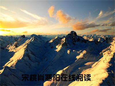 宋桃肖寒阳（抢来的夫婿好种田：全文+后续）完整全文在线阅读_宋桃肖寒阳全章节目录阅读（抢来的夫婿好种田：全文+后续）