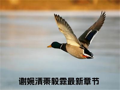 谢婉清秦毅霖（谢婉清秦毅霖）小说在线阅读_谢婉清秦毅霖全本免费小说阅读（谢婉清秦毅霖）